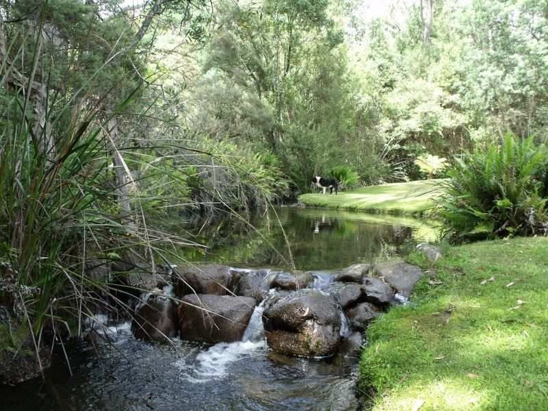 760 Western Creek Road, Western Creek TAS 7304