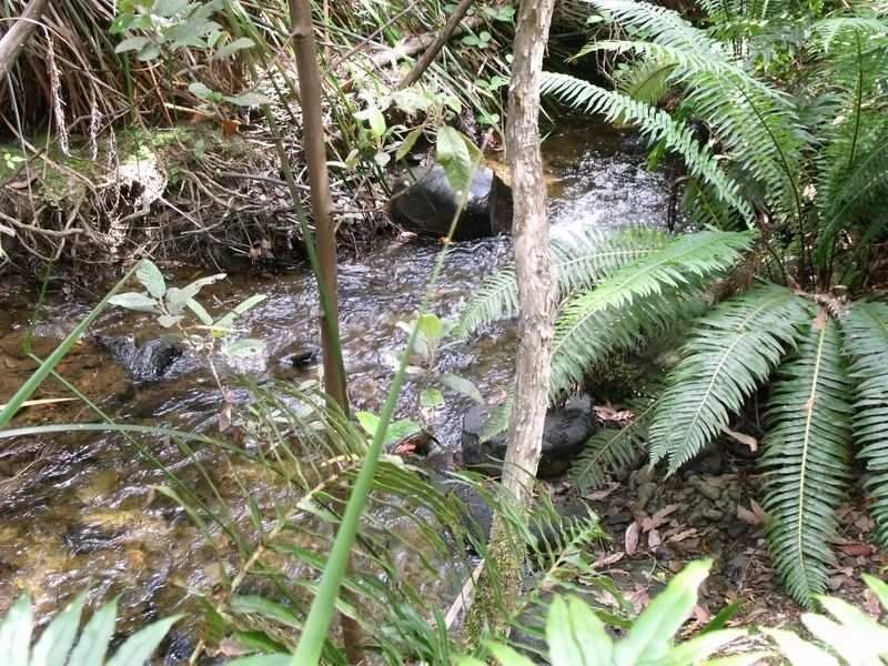 760 Western Creek Road, Western Creek TAS 7304