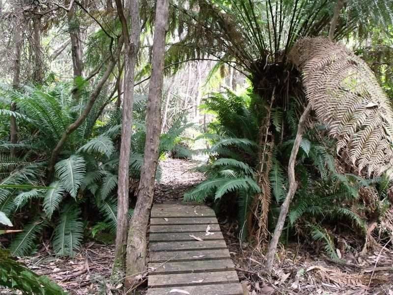 760 Western Creek Road, Western Creek TAS 7304