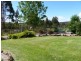 520 Bradys Plains Road, Parkham TAS 7304