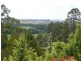 14 Barra Road, Deloraine TAS 7304