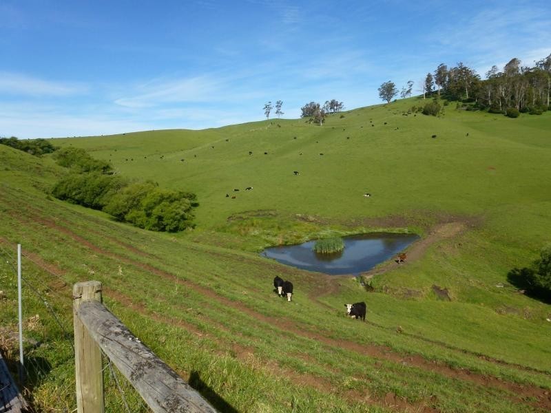 86 Gannons Hills Road, Moltema TAS 7304