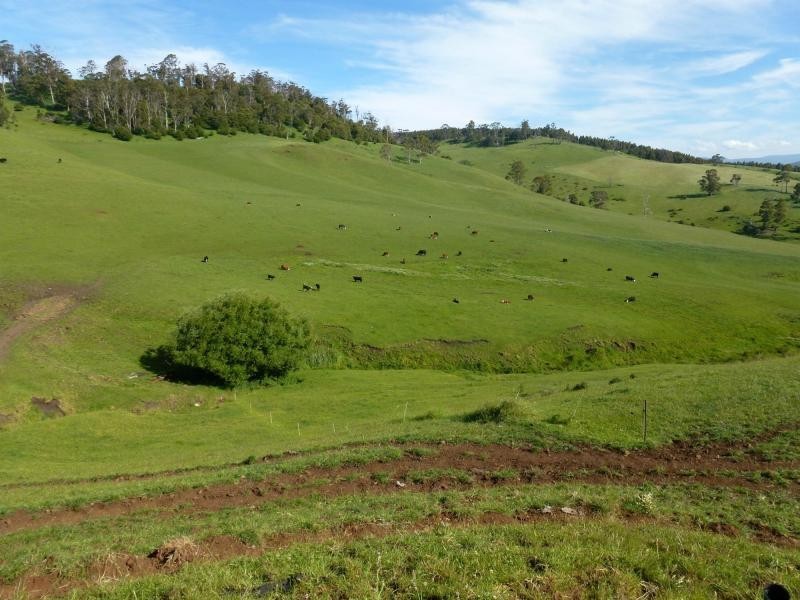 86 Gannons Hills Road, Moltema TAS 7304