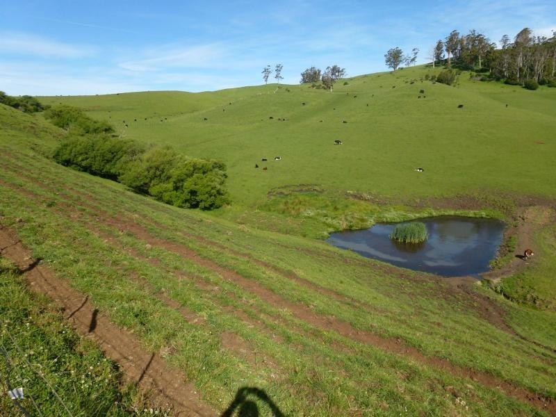 86 Gannons Hills Road, Moltema TAS 7304