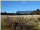 1363 Bogan Road, Golden Valley TAS 7304