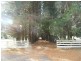 1363 Bogan Road, Golden Valley TAS 7304