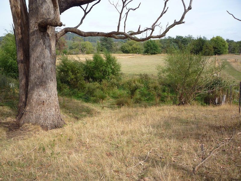 L99 Morrison Street, Kimberley TAS 7304