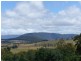 17 Prout Street, Elizabeth Town TAS 7304