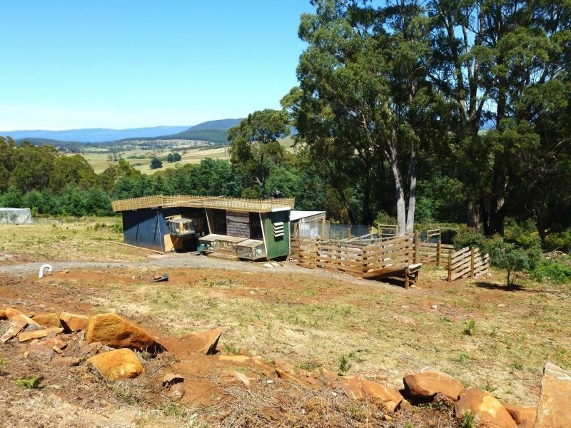 17 Prout Street, Elizabeth Town TAS 7304