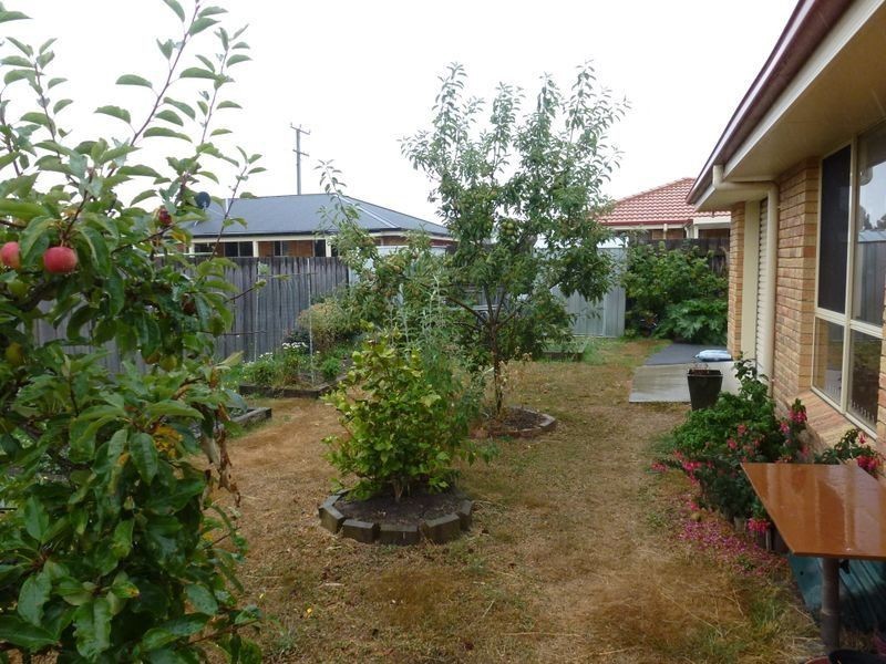 2/1A Quamby Street, Westbury TAS 7303