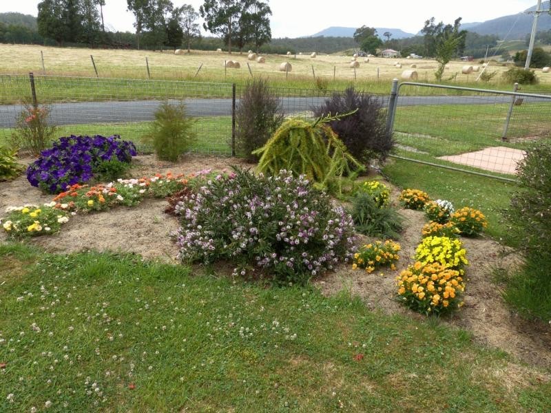 264 Scotts Road, Mole Creek TAS 7304