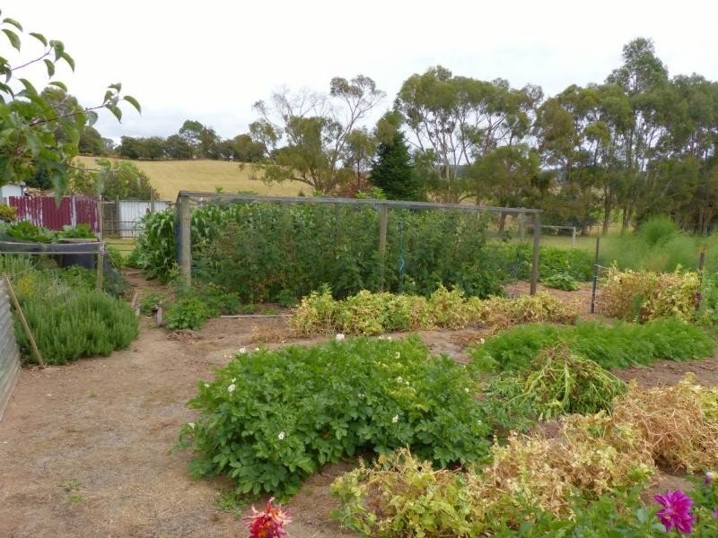 264 Scotts Road, Mole Creek TAS 7304