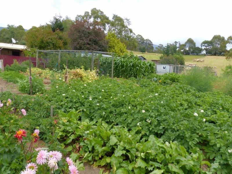 264 Scotts Road, Mole Creek TAS 7304