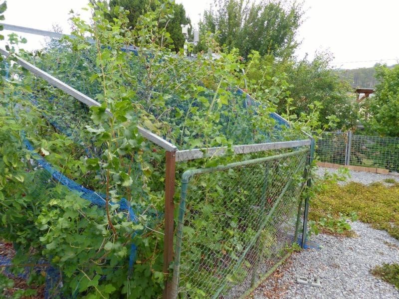36 Caveside Road, Mole Creek TAS 7304
