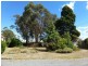 99 Dexter Street, Westbury TAS 7303