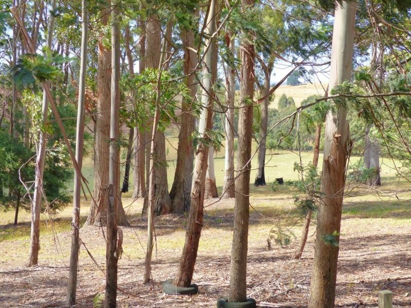 106 Pumicestone Road, Deloraine TAS 7304