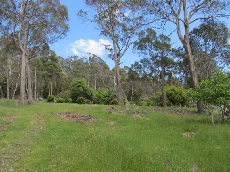 340 Porters Bridge Road, Exton TAS 7303