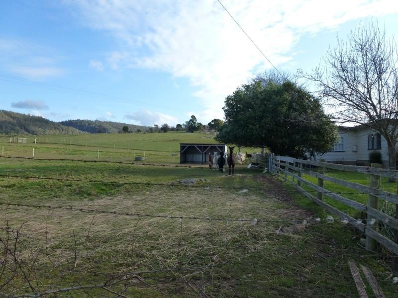82 Union Bridge Road, Mole Creek TAS 7304