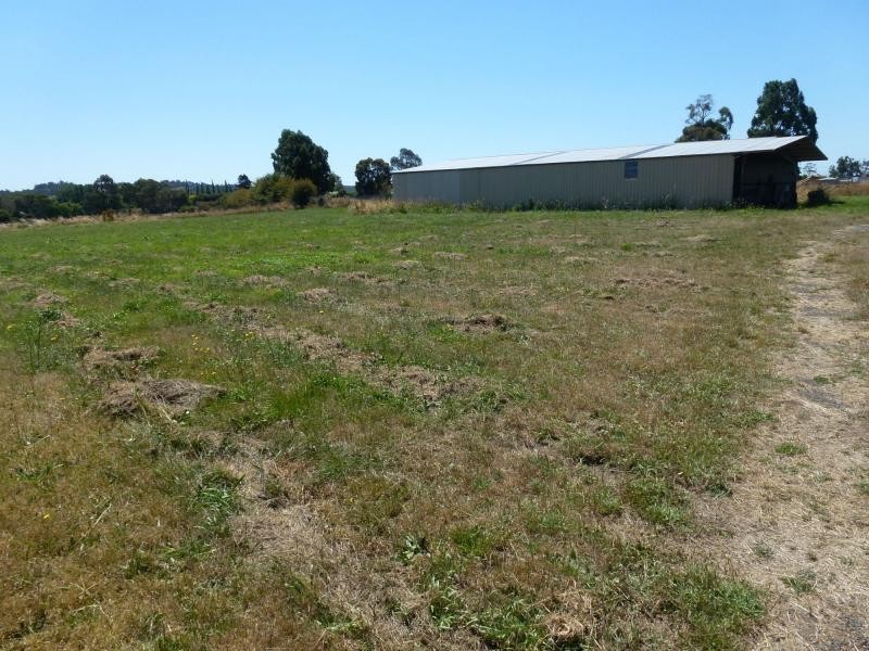 69 Meander Valley Road, Westbury TAS 7303