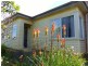 17 Moriarty Street, Deloraine TAS 7304