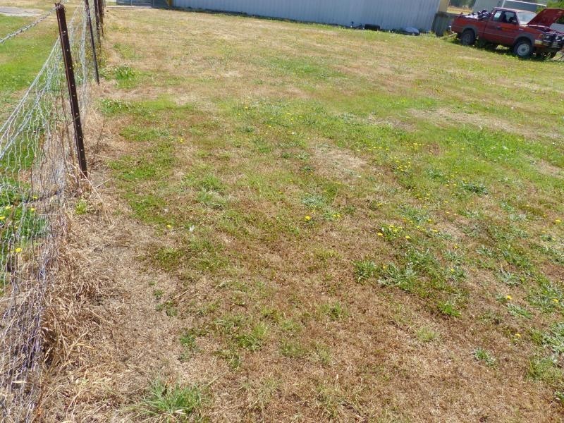 64 Sorell Street, Chudleigh TAS 7304