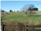35 Caveside Road, Mole Creek TAS 7304