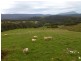 29 Dynans Bridge Road, Weegena TAS 7304