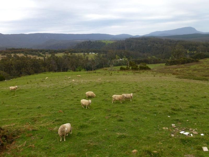 29 Dynans Bridge Road, Weegena TAS 7304