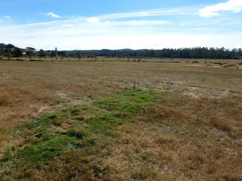 1354 Biralee Road, Westbury TAS 7303