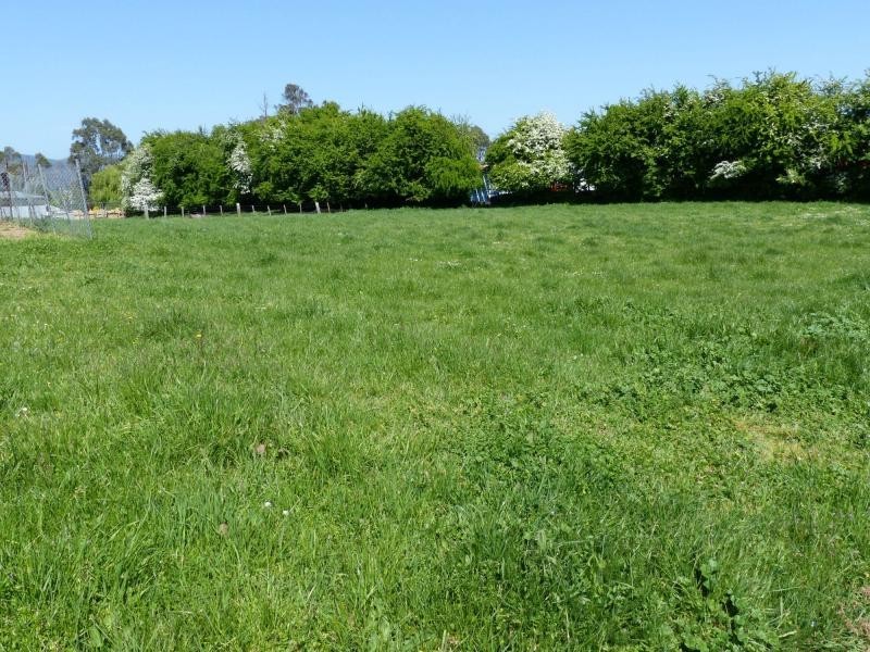 74 Shadforth Street, Westbury TAS 7303