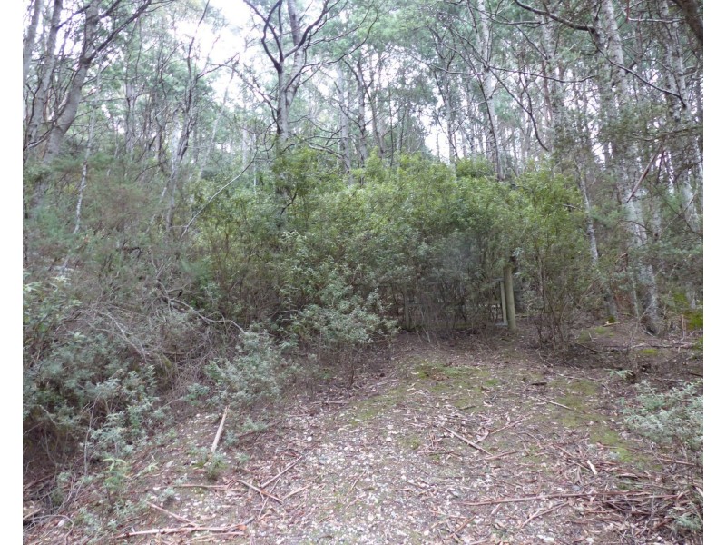 Lot 1 Highland Lakes Road, Golden Valley TAS 7304