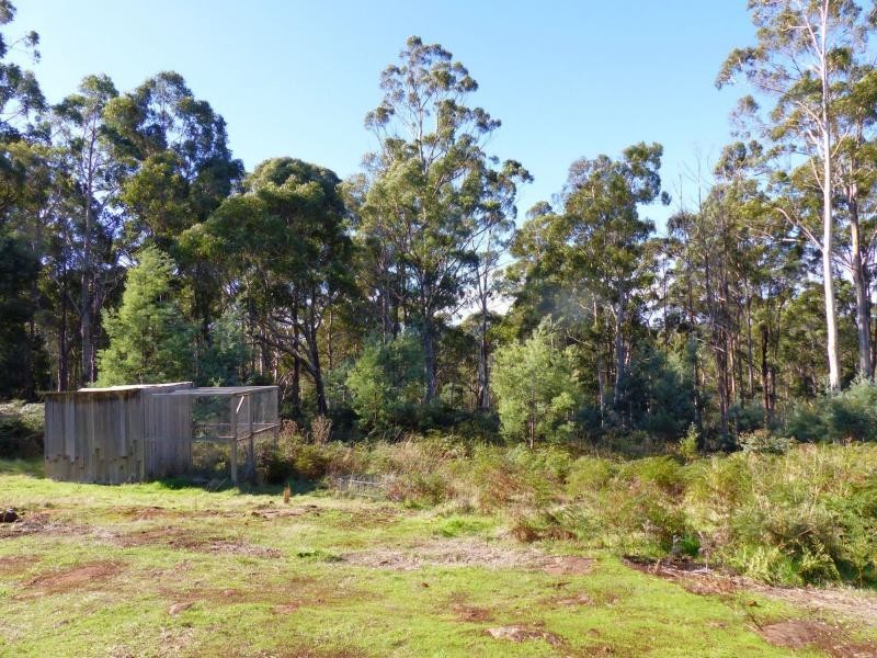 120 Wadleys Road, Reedy Marsh TAS 7304