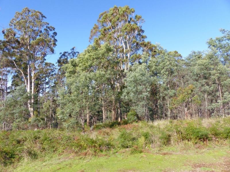 120 Wadleys Road, Reedy Marsh TAS 7304