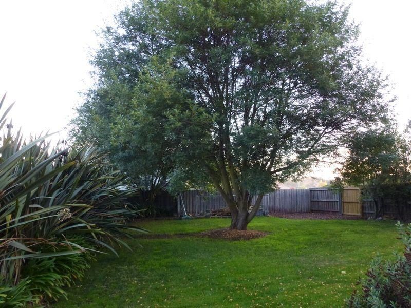 12 Scott Street, Hadspen TAS 7290