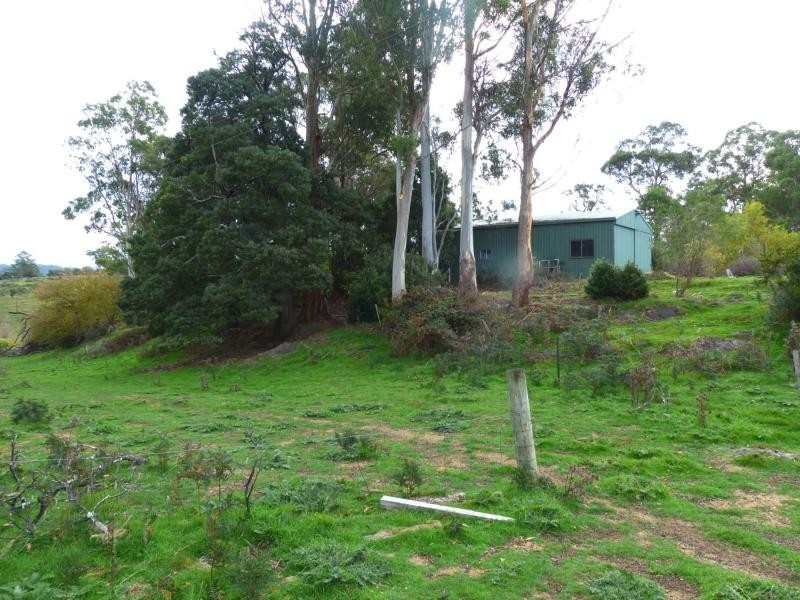 314 Scotts Road, Mole Creek TAS 7304