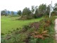 314 Scotts Road, Mole Creek TAS 7304