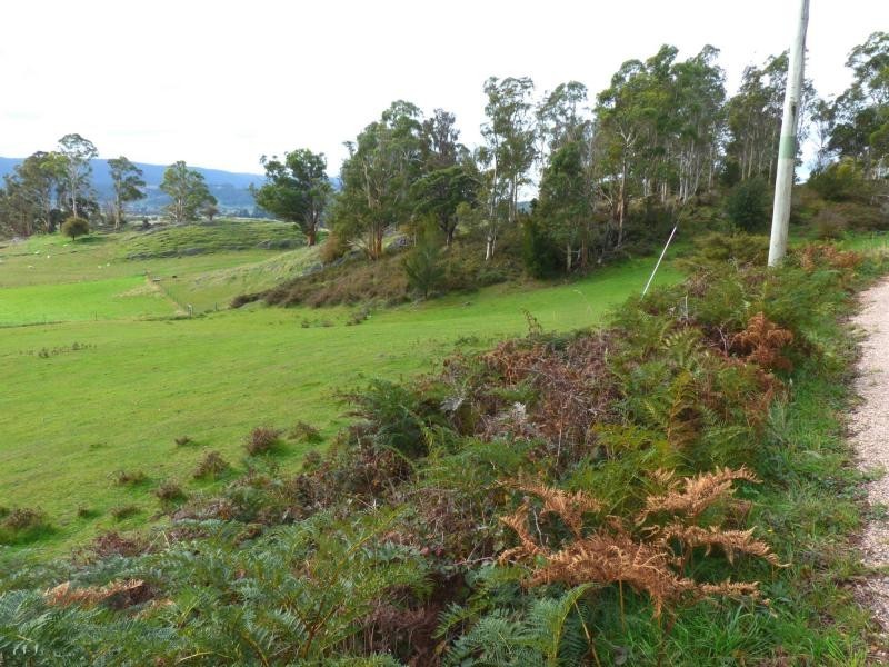 314 Scotts Road, Mole Creek TAS 7304