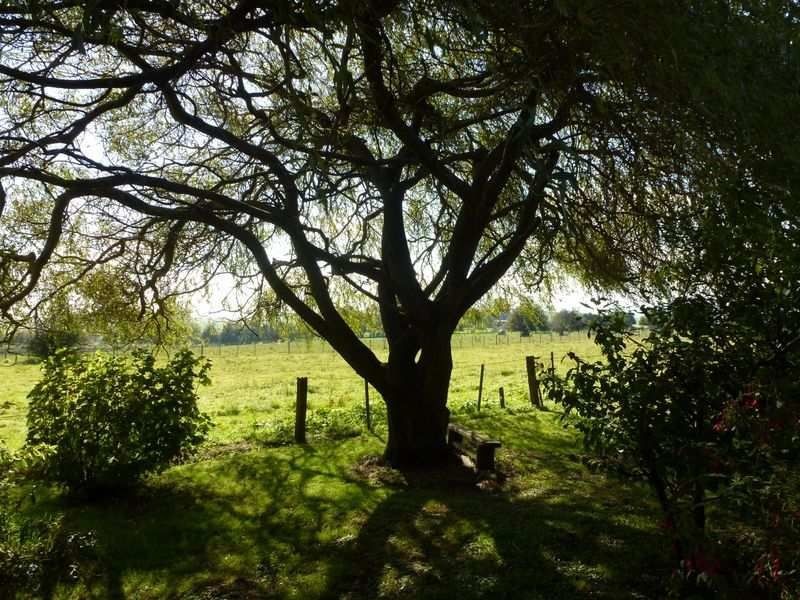 1221 Weegena Road, Dunorlan TAS 7304