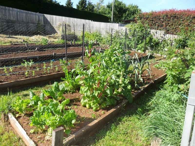 41 West Parade, Deloraine TAS 7304