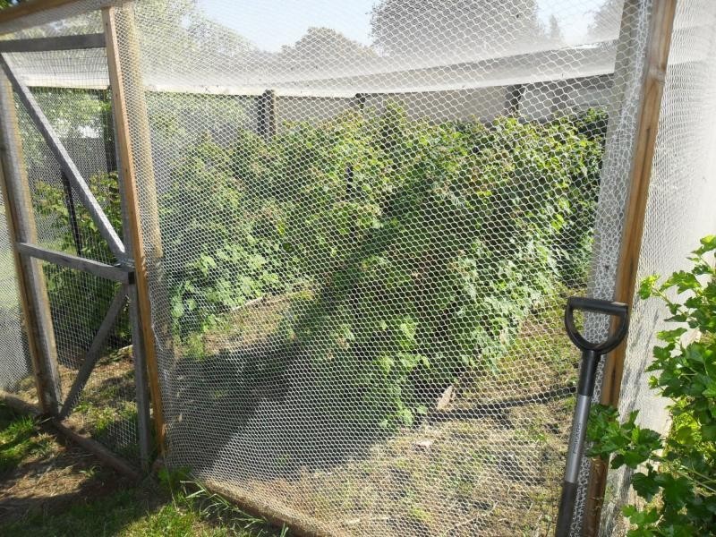 41 West Parade, Deloraine TAS 7304