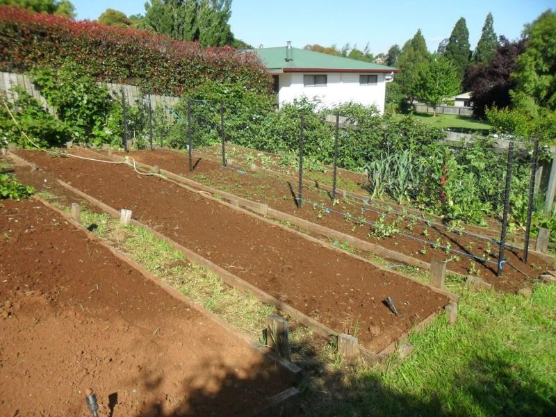 41 West Parade, Deloraine TAS 7304