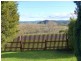 48 Tower Hill Street, Deloraine TAS 7304