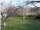385 Liena Road, Mole Creek TAS 7304