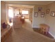 33 West Goderich Street, Deloraine TAS 7304