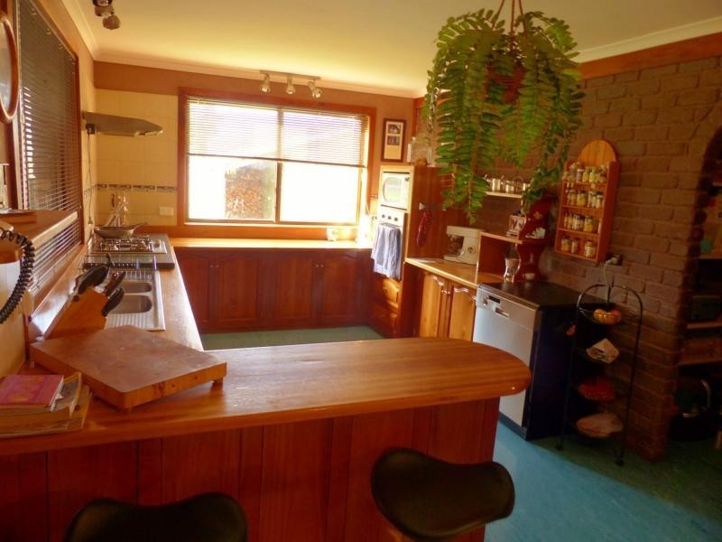 84 Union Bridge Road, Mole Creek TAS 7304