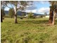 84 Union Bridge Road, Mole Creek TAS 7304