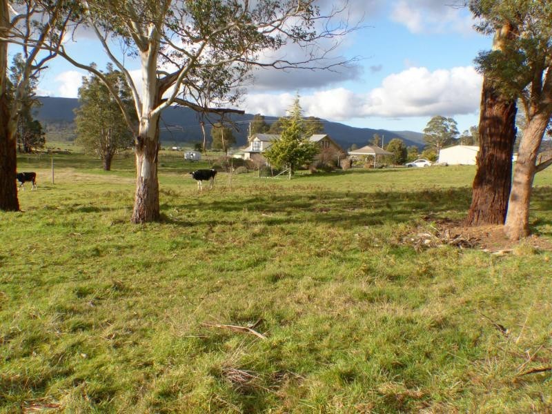 84 Union Bridge Road, Mole Creek TAS 7304