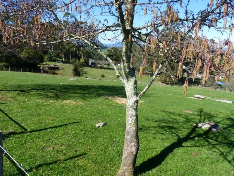 33 Samuel Street, Elizabeth Town TAS 7304