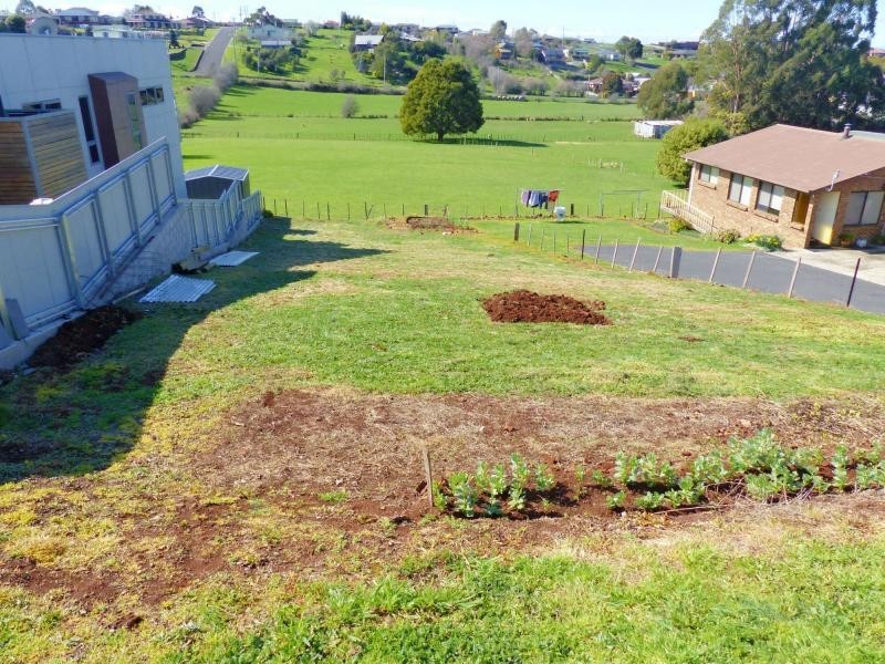69 West Church Street, Deloraine TAS 7304