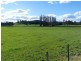 173 River Road, Deloraine TAS 7304